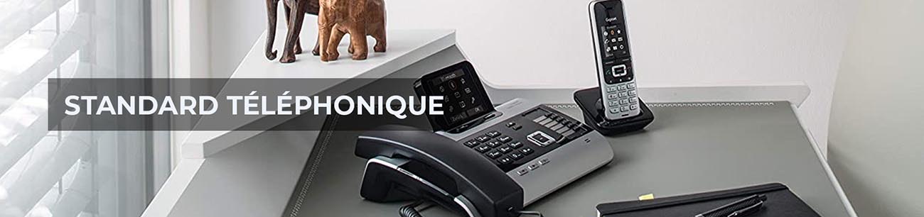 standard téléphonique